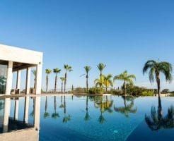 Luxury oceanfront pool with palm trees and modern architecture in Portugal, perfect for real estate investment and holiday homes.